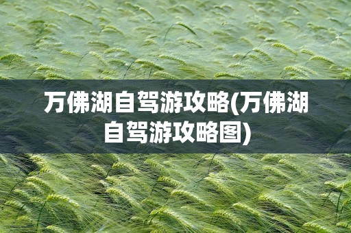 万佛湖自驾游攻略(万佛湖自驾游攻略图)