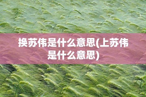 换苏伟是什么意思(上苏伟是什么意思)