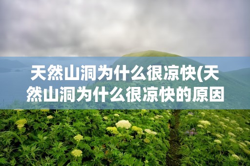 天然山洞为什么很凉快(天然山洞为什么很凉快的原因)