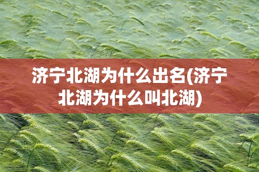 济宁北湖为什么出名(济宁北湖为什么叫北湖)