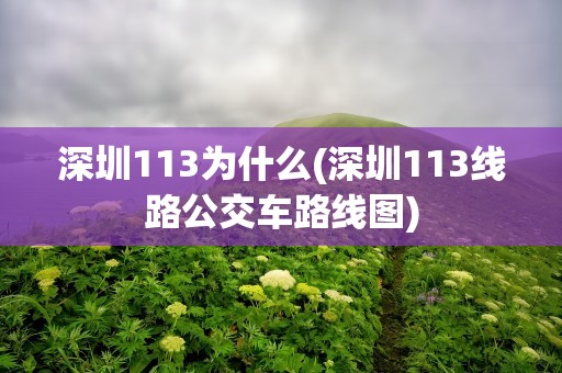 深圳113为什么(深圳113线路公交车路线图)