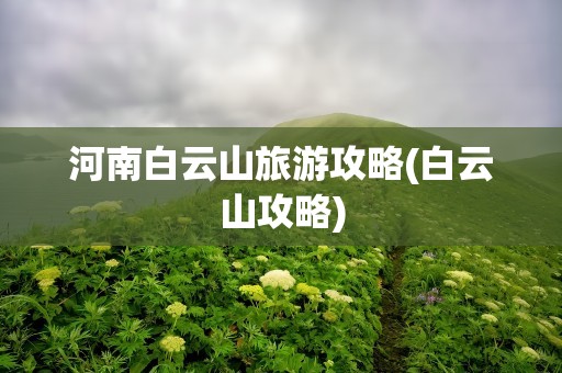 河南白云山旅游攻略(白云山攻略)