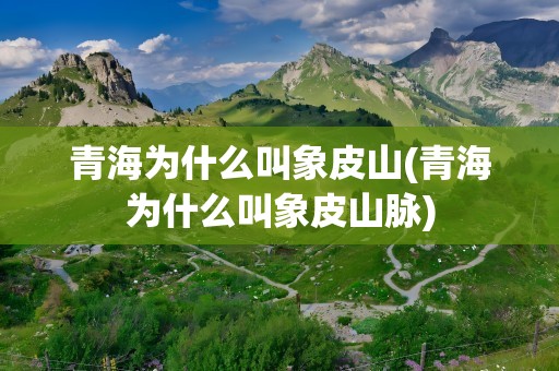 青海为什么叫象皮山(青海为什么叫象皮山脉)