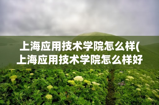 上海应用技术学院怎么样(上海应用技术学院怎么样好不好)