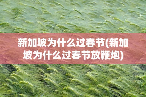 新加坡为什么过春节(新加坡为什么过春节放鞭炮)