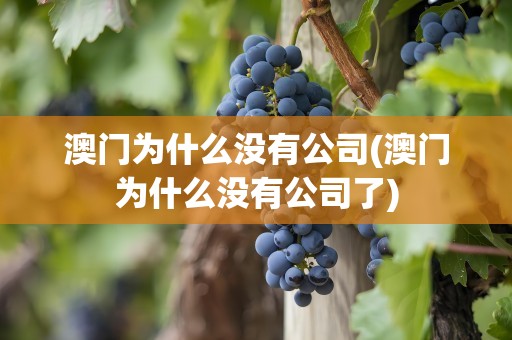 澳门为什么没有公司(澳门为什么没有公司了)