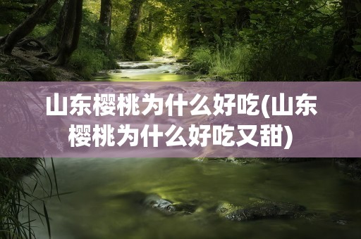 山东樱桃为什么好吃(山东樱桃为什么好吃又甜)