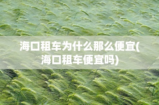 海口租车为什么那么便宜(海口租车便宜吗)