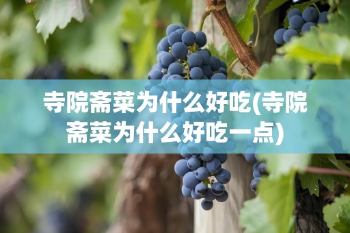 寺院斋菜为什么好吃(寺院斋菜为什么好吃一点)