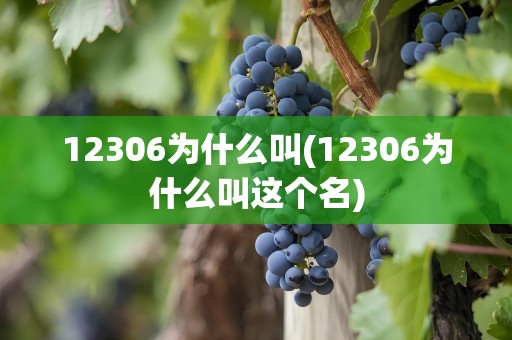 12306为什么叫(12306为什么叫这个名)