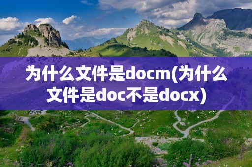 为什么文件是docm(为什么文件是doc不是docx)