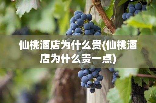 仙桃酒店为什么贵(仙桃酒店为什么贵一点)