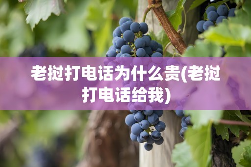 老挝打电话为什么贵(老挝打电话给我)