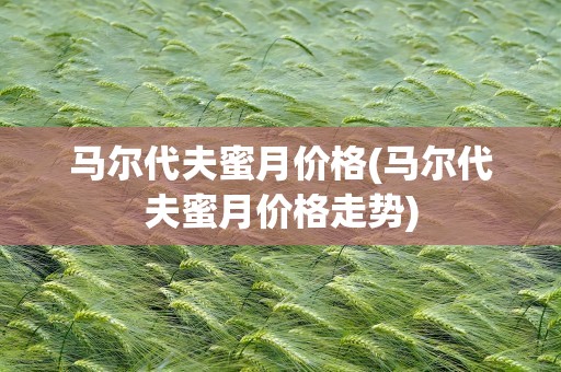 马尔代夫蜜月价格(马尔代夫蜜月价格走势)