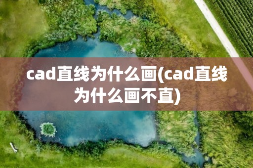 cad直线为什么画(cad直线为什么画不直)