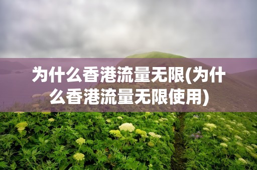 为什么香港流量无限(为什么香港流量无限使用)