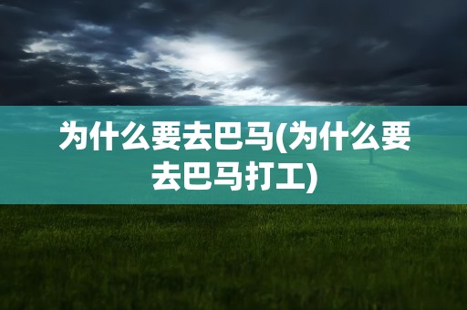 为什么要去巴马(为什么要去巴马打工)