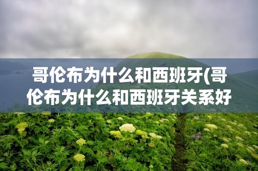 哥伦布为什么和西班牙(哥伦布为什么和西班牙关系好)