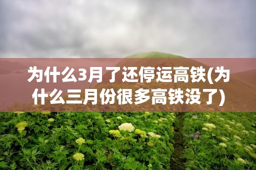 为什么3月了还停运高铁(为什么三月份很多高铁没了)