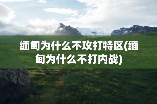 缅甸为什么不攻打特区(缅甸为什么不打内战)