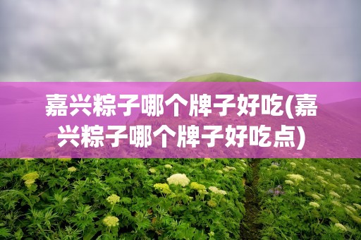 嘉兴粽子哪个牌子好吃(嘉兴粽子哪个牌子好吃点)