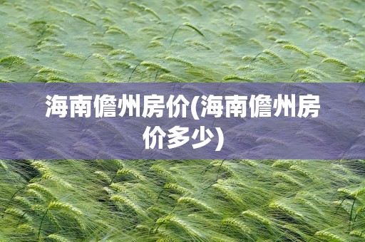 海南儋州房价(海南儋州房价多少)