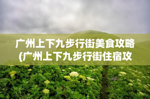 广州上下九步行街美食攻略(广州上下九步行街住宿攻略)