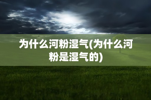 为什么河粉湿气(为什么河粉是湿气的)