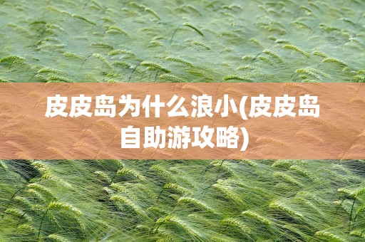 皮皮岛为什么浪小(皮皮岛自助游攻略)