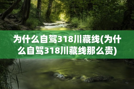 为什么自驾318川藏线(为什么自驾318川藏线那么贵)