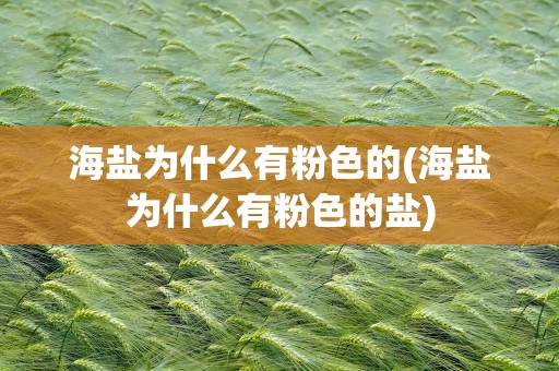 海盐为什么有粉色的(海盐为什么有粉色的盐)