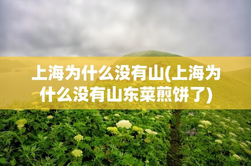 上海为什么没有山(上海为什么没有山东菜煎饼了)