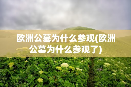 欧洲公墓为什么参观(欧洲公墓为什么参观了)