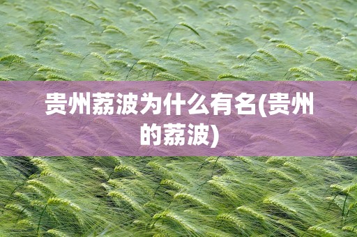 贵州荔波为什么有名(贵州的荔波)