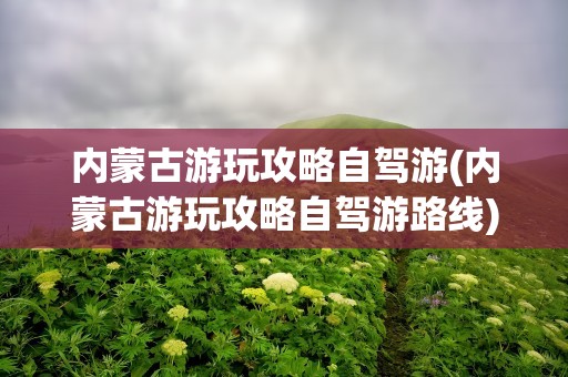 内蒙古游玩攻略自驾游(内蒙古游玩攻略自驾游路线)