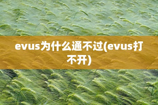 evus为什么通不过(evus打不开)