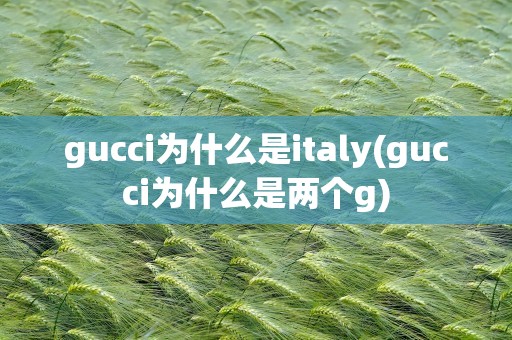 gucci为什么是italy(gucci为什么是两个g)