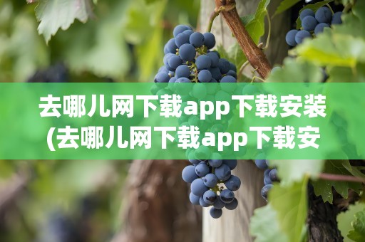 去哪儿网下载app下载安装(去哪儿网下载app下载安装官方网站)