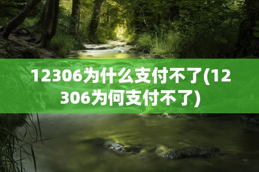 12306为什么支付不了(12306为何支付不了)