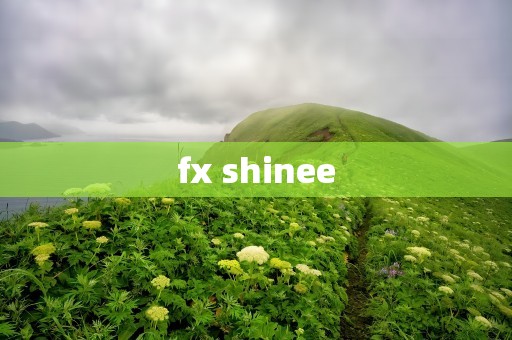 fx shinee