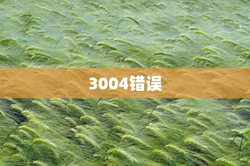 3004错误