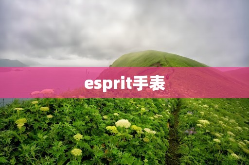 esprit手表