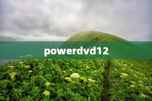 powerdvd12