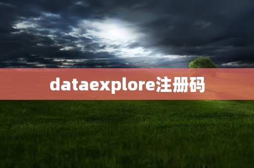 dataexplore注册码