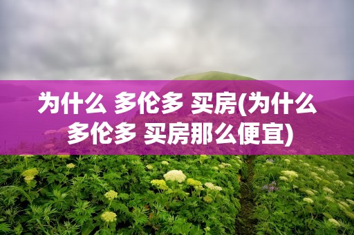 为什么 多伦多 买房(为什么 多伦多 买房那么便宜)