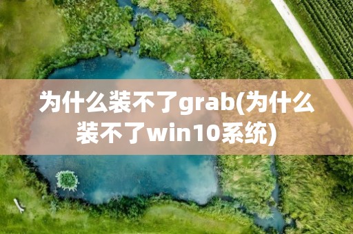 为什么装不了grab(为什么装不了win10系统)