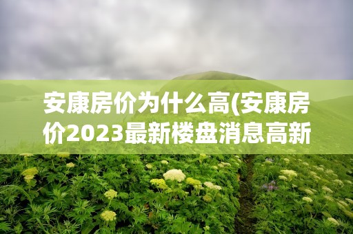 安康房价为什么高(安康房价2023最新楼盘消息高新区)