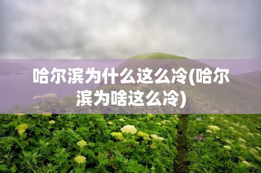 哈尔滨为什么这么冷(哈尔滨为啥这么冷)