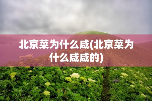 北京菜为什么咸(北京菜为什么咸咸的)