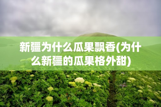 新疆为什么瓜果飘香(为什么新疆的瓜果格外甜)